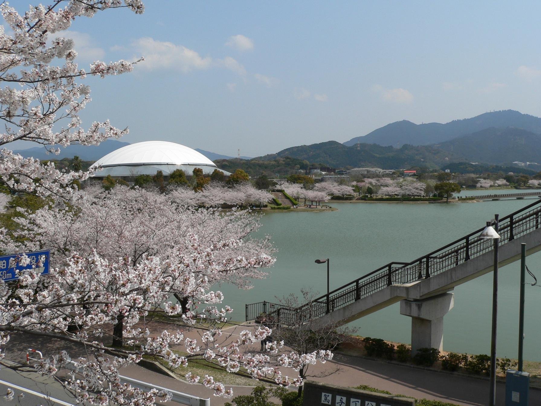🏞️ 가요이초 공원 이미지 8